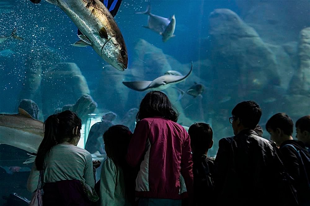 Grup Satış ve Rezervasyon Hakkında