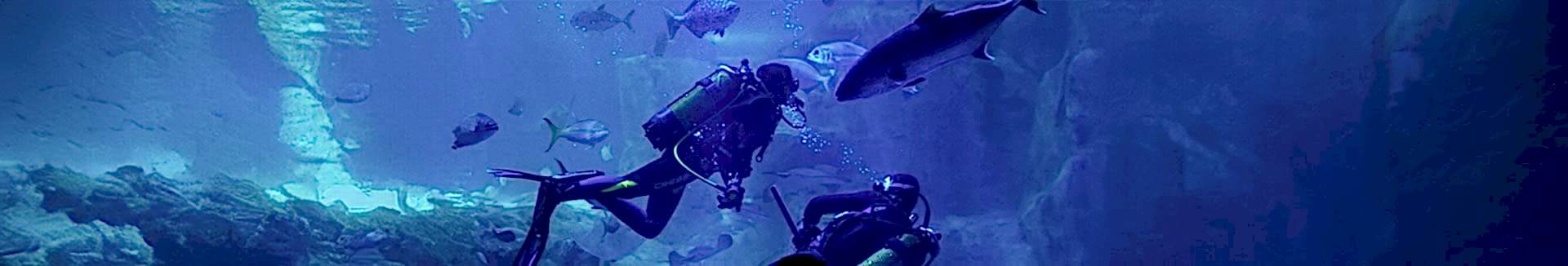 GİZLİLİK SÖZLEŞMESİ