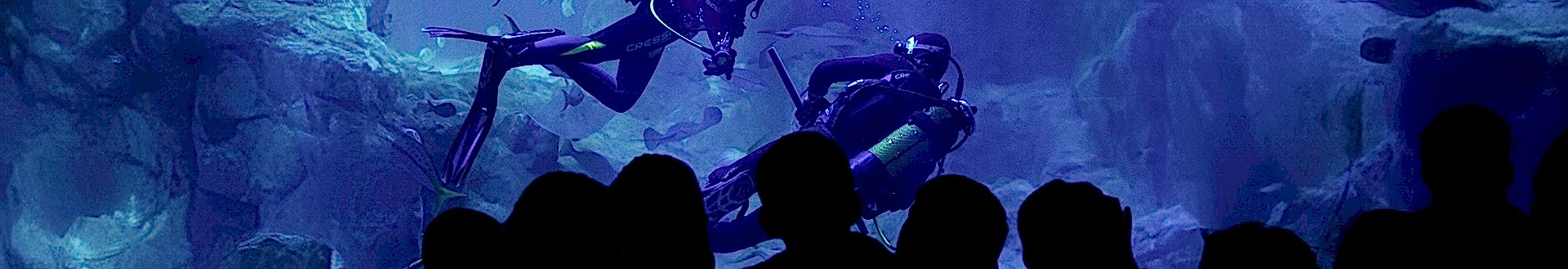 GRUP SATIŞ VE REZERVASYON