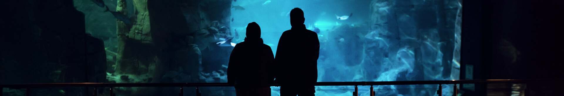 ZİYARETİNİZİ PLANLAYIN