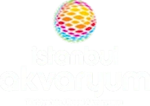 İstanbul Akvaryum